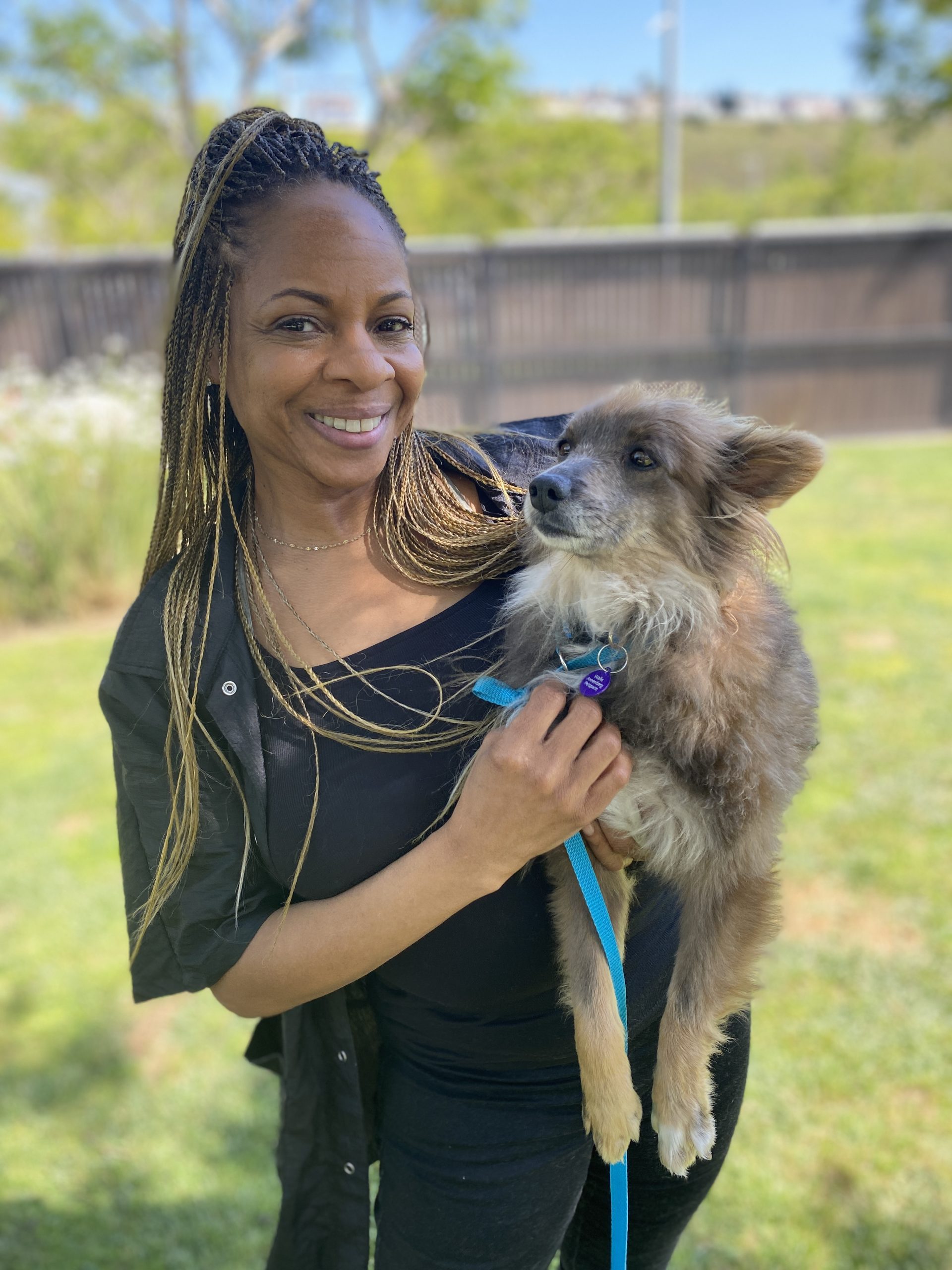 Picture of Dog Daycare and Dog Boarding | Dog Care Services